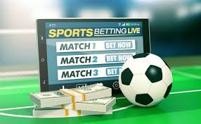 Exploring Baji Live A Premier Online Betting Experience Exploring Baji Live A Premier Online Betting Experience